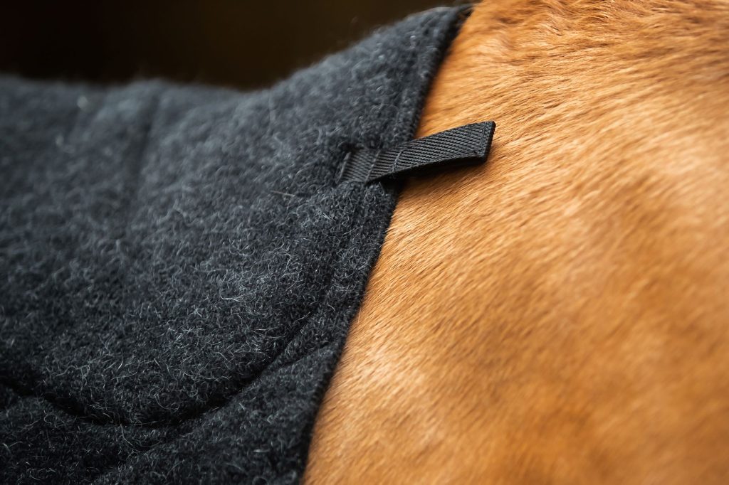 "Deluxe" saddle cloth, Saddle blanket made from black Icelandic wool. Icelandic horse tack made in Iceland