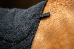 "Deluxe" saddle cloth, Saddle blanket made from black Icelandic wool