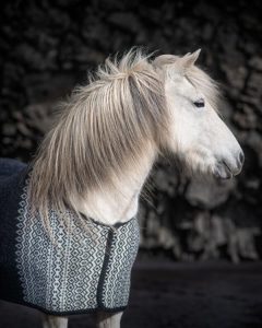 "Borg" horse rug with a backlength of 135cm. Traditional icelandic pattern in the front. Made for Icelandic horses made from Icelandic wool