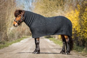 Turtleneck horse rug black. Black horse rug with black turtleneck for Icelandic horses. Made from Icelandic wool
