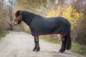 Turtleneck horse rug red border. Black horse rug with red border for Icelandic horses made from Icelandic wool 