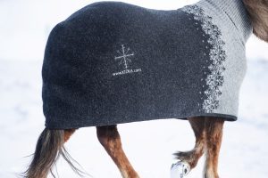 KIDKA embroidery. Embroidered horse blanket