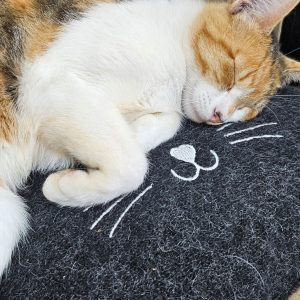 Cat pad, the future favorite resting spot for your cat. Made from and filled with Icelandic wool, a warm place for your feline all year round. Made in Iceland